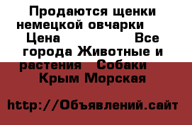 Продаются щенки немецкой овчарки!!! › Цена ­ 6000-8000 - Все города Животные и растения » Собаки   . Крым,Морская